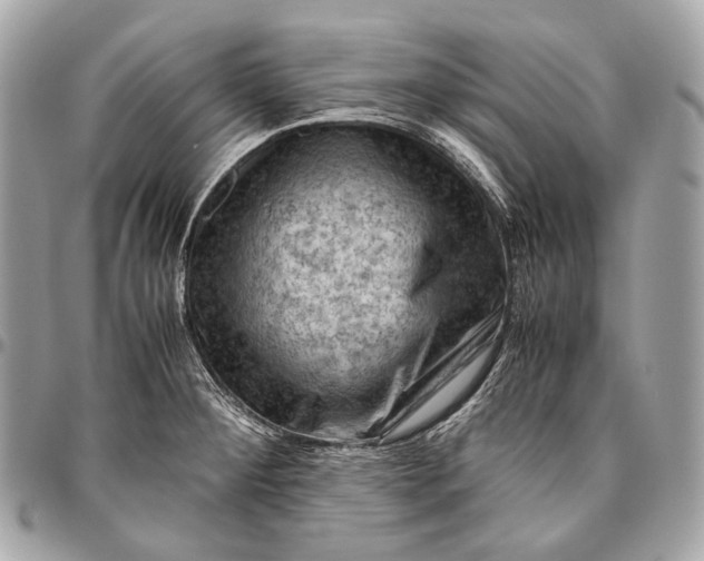 X0000096441284200802071740