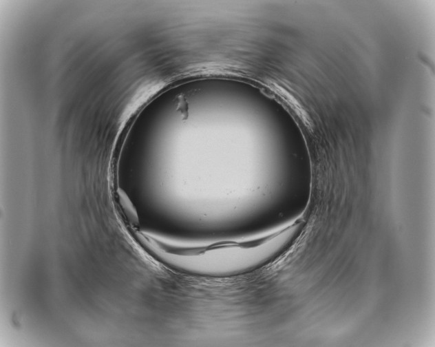 X0000096441285200802071740