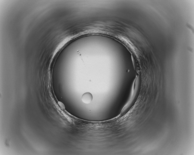 X0000096441286200802071740