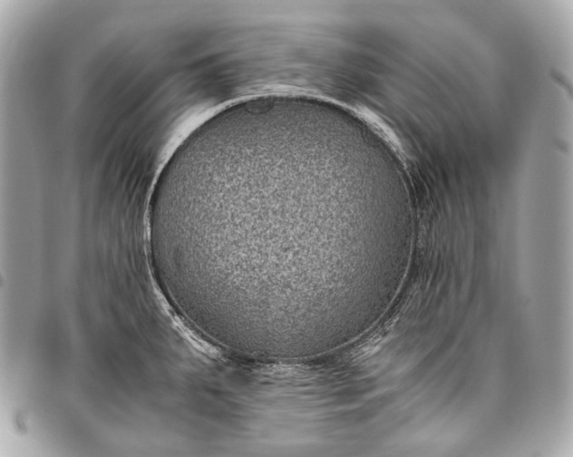 X0000096441287200802071740