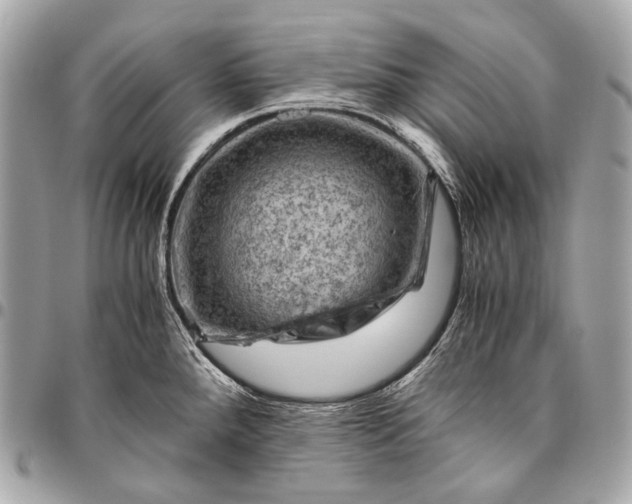 X0000096441288200802071740