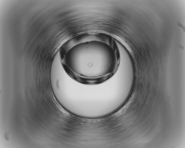 X0000096441289200802071740