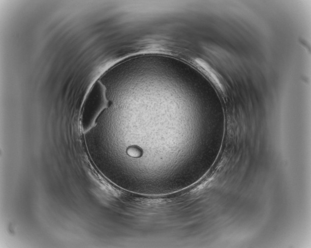 X0000096441292200802071740