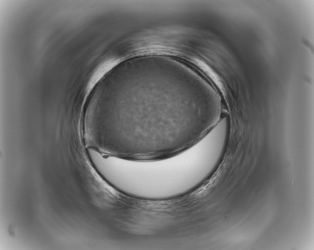 X0000096441293200802071740