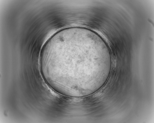 X0000096441294200802071740