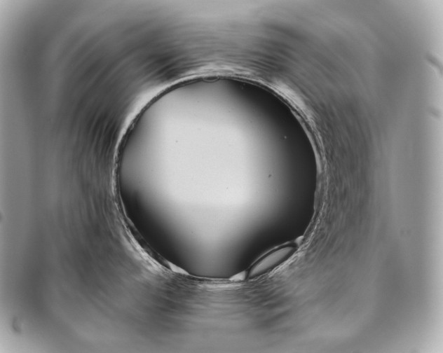 X0000096441296200802071740