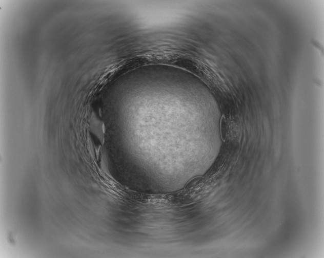 X0000096441297200802071739