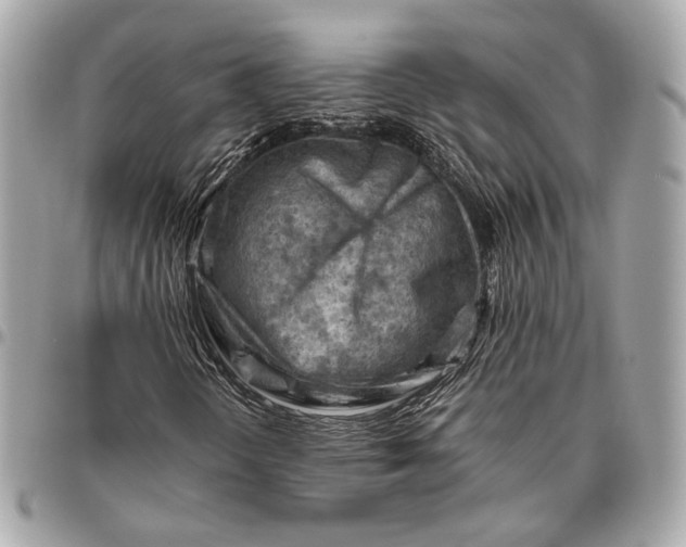 X0000096441298200802071739