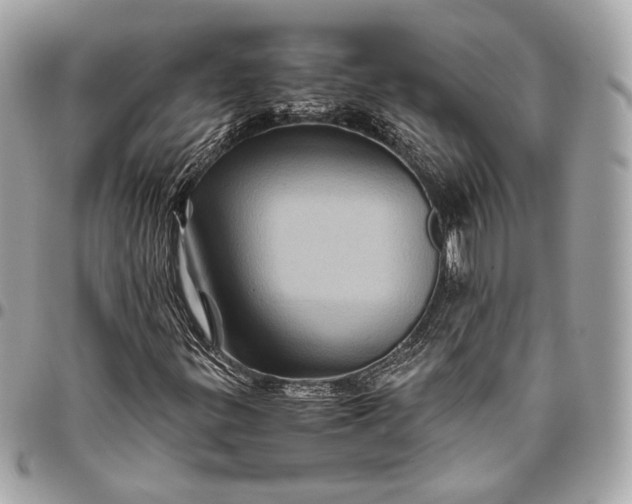 X0000096441299200802071739