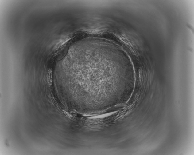 X0000096441301200802071739