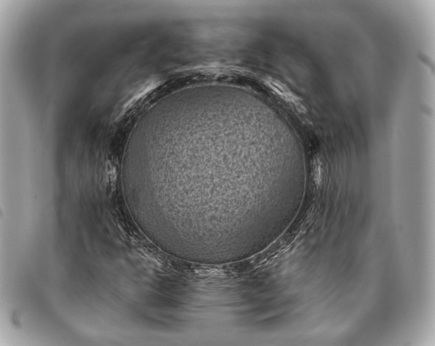 X0000096441302200802071739