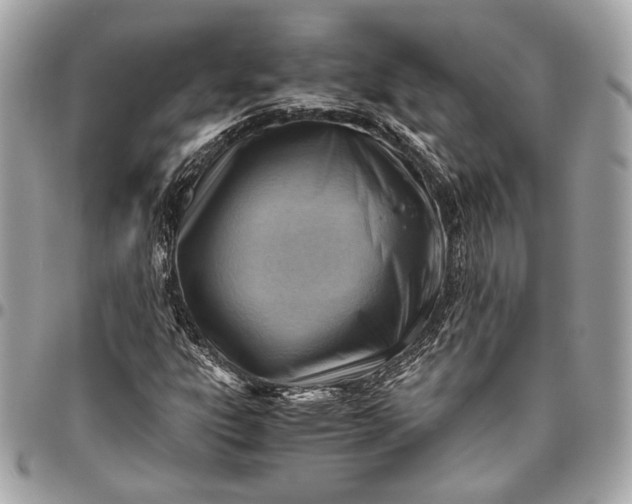 X0000096441303200802071739