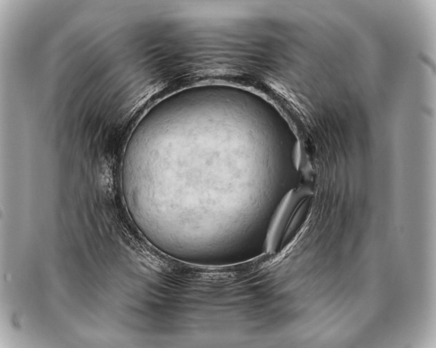 X0000096441305200802071739