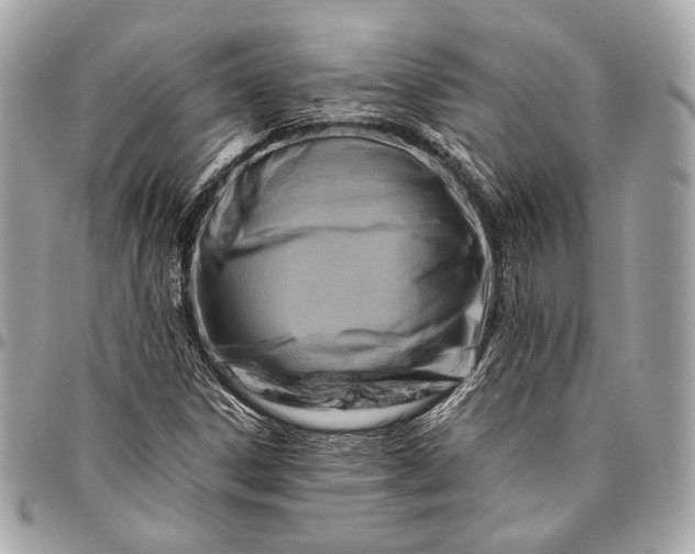 X0000096441306200802071739