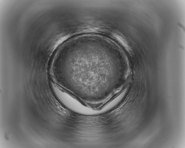 X0000096441308200802071739