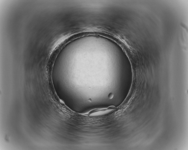 X0000096441311200802071739