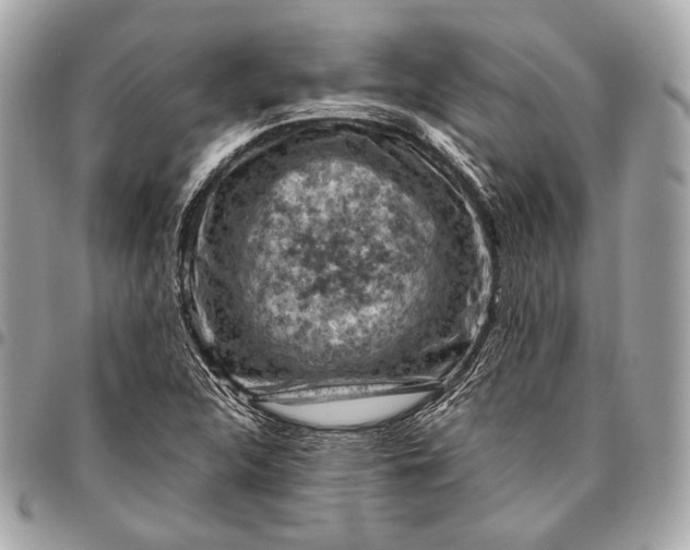 X0000096441312200802071739