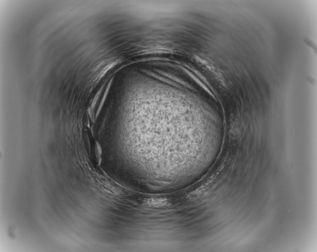 X0000096441313200802071739