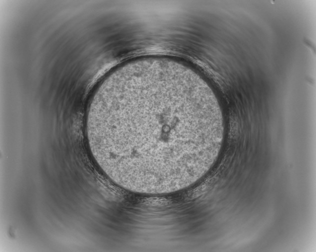 X0000096441314200802071739