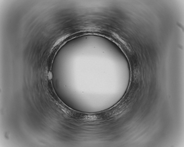 X0000096441315200802071739