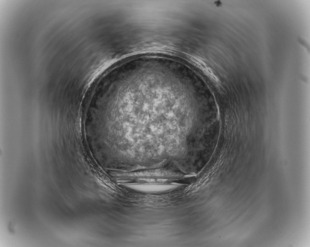 X0000096441316200802071739