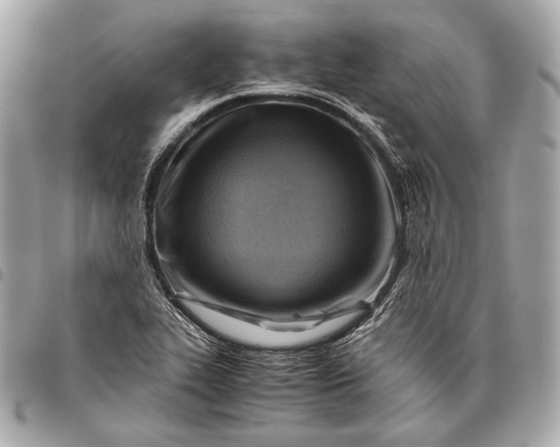 X0000096441319200802071739