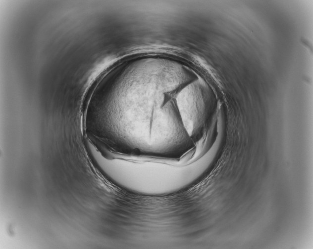 X0000096441320200802071739