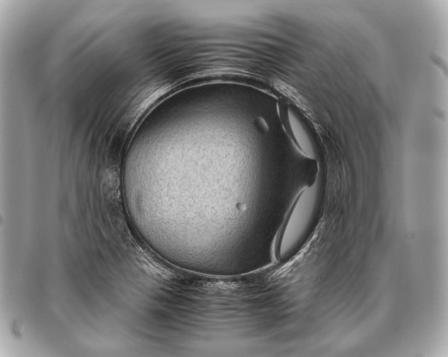 X0000096441321200802071739