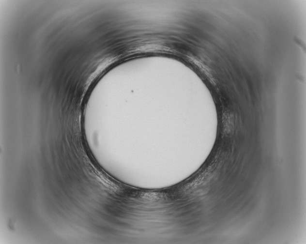 X0000096441322200802071739