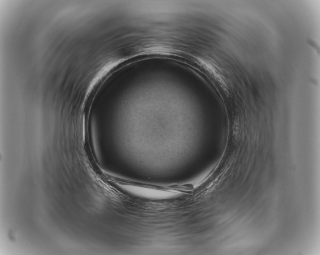 X0000096441323200802071739