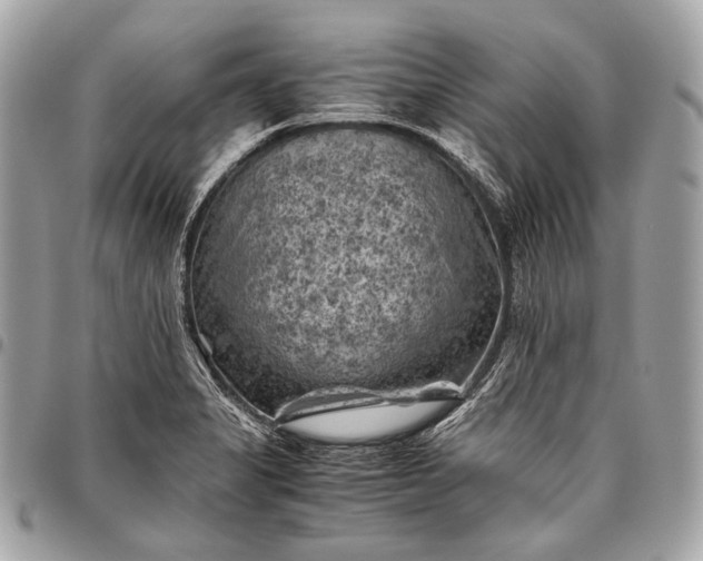 X0000096441325200802071739