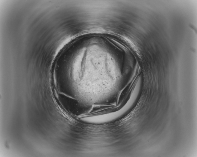 X0000096441326200802071739