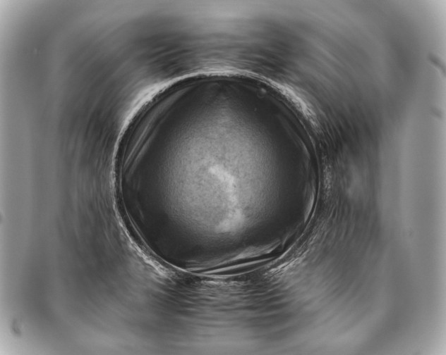 X0000096441327200802071739