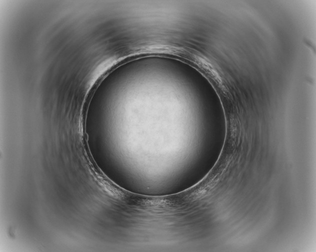 X0000096441328200802071739