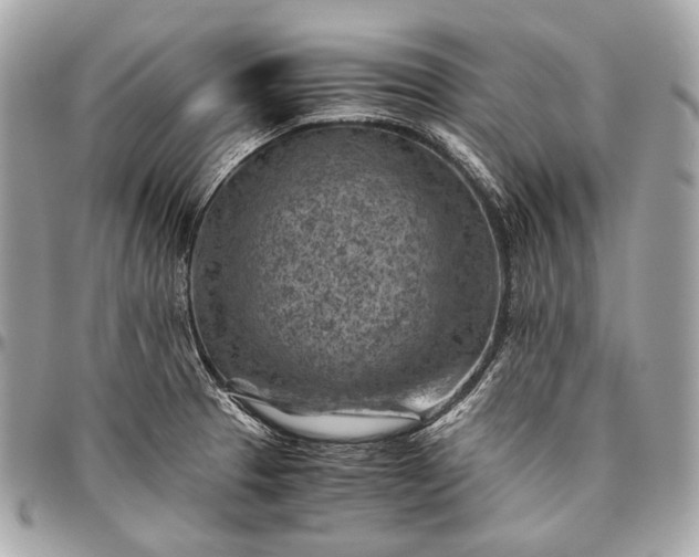 X0000096441329200802071739