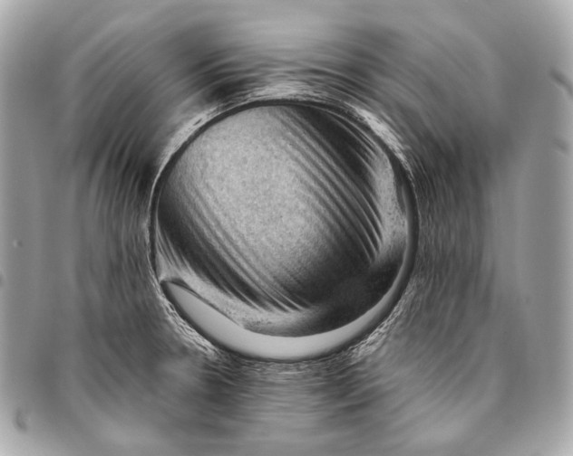 X0000096441330200802071739