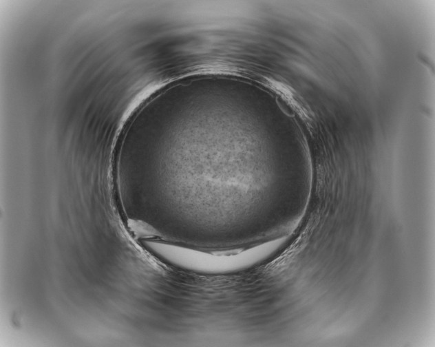 X0000096441331200802071739