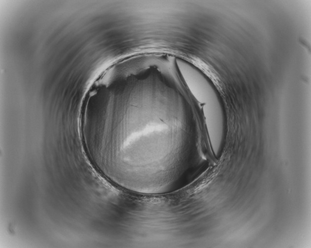 X0000096441334200802071739