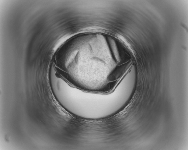 X0000096441336200802071739