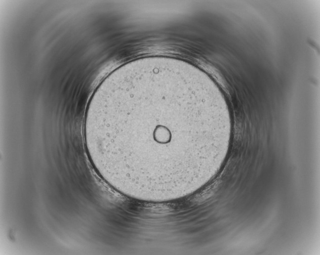 X0000096441338200802071739