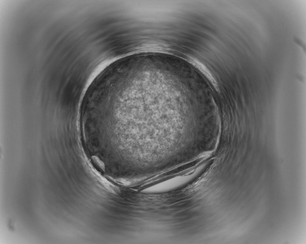 X0000096441339200802071739