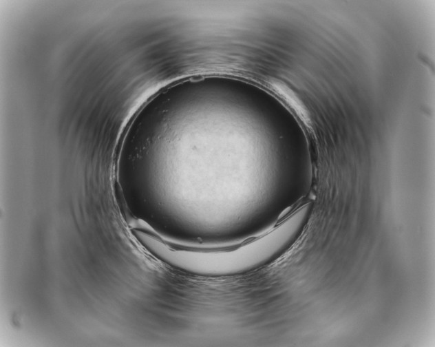 X0000096441340200802071739