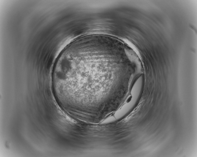 X0000096441341200802071739