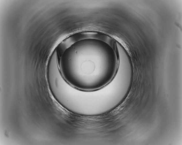 X0000096441342200802071739