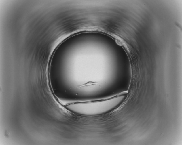 X0000096441343200802071739