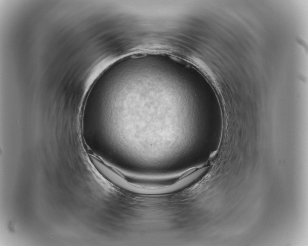 X0000096441344200802071740