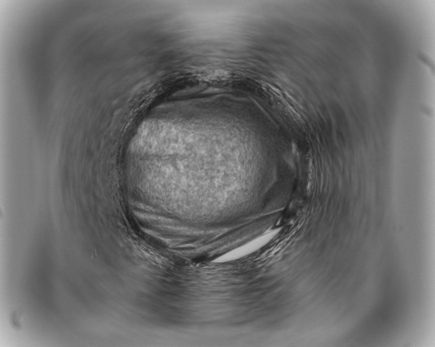 X0000096441345200802071739