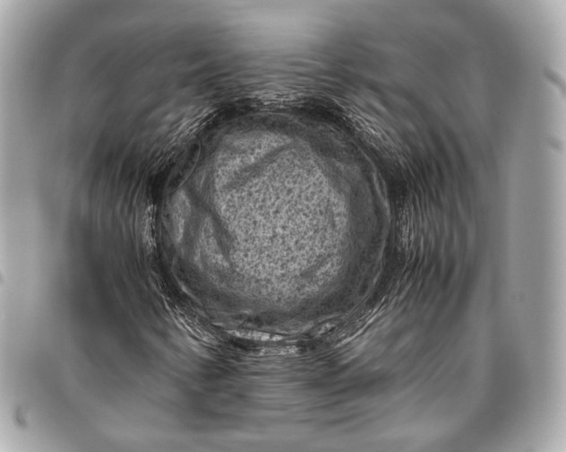 X0000096441346200802071739