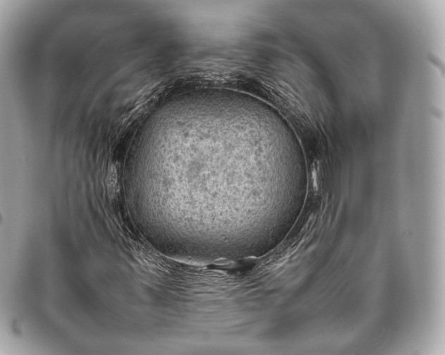 X0000096441347200802071739