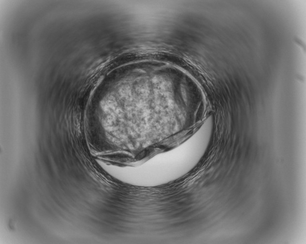 X0000096441348200802071739